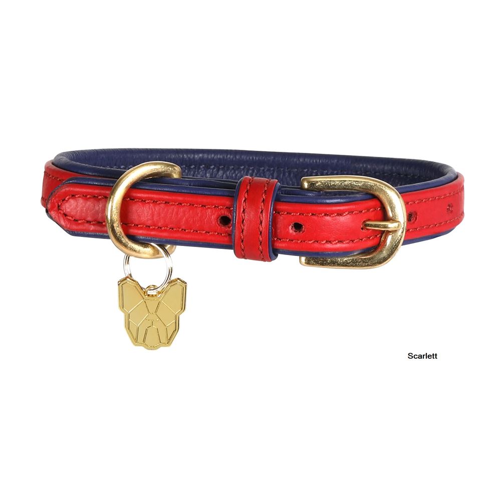 Shires Digby & Fox Padded Leather Dog Collar (XXXS - XXS)