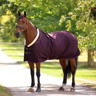 Shires Deluxe Stable Sheet (Black Cherry)