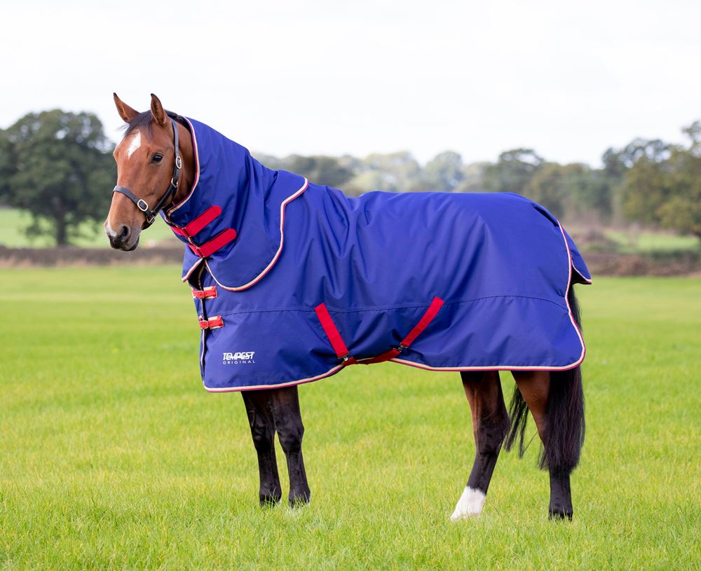 Shires Tempest Original 100g Turnout Rug & Neck Set (Navy)