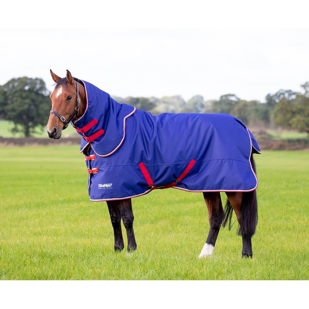 Shires Tempest Original 100g Turnout Rug & Neck Set (Navy)