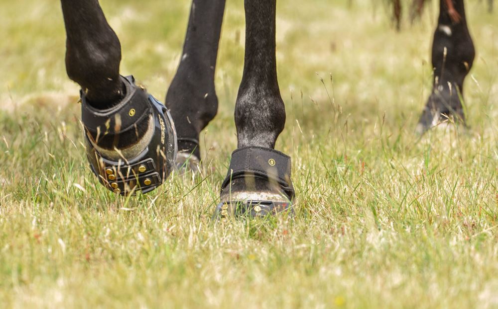 ScootBoot Multipurpose Gaiters (1 Pair)