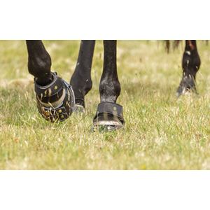 ScootBoot Multipurpose Gaiters (1 Pair)
