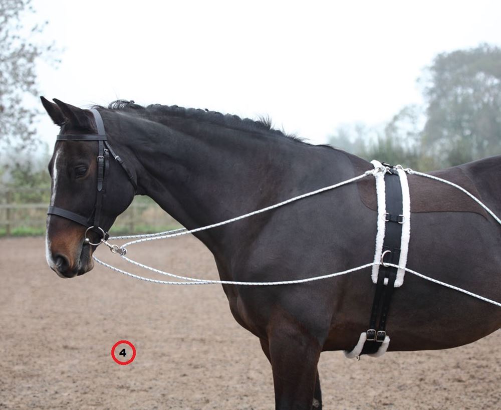Shires Lunging Aid (Pessoa Style Training Aid)