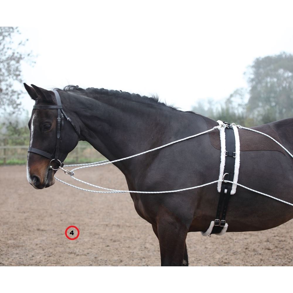 Shires Lunging Aid (Pessoa Style Training Aid)