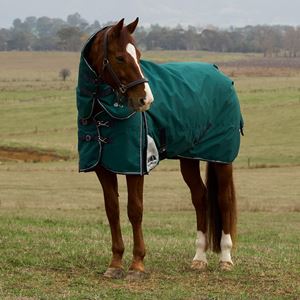 Weatherbeeta Comfitec Plus Dynamic Turnout Detach-A-Neck - 100g (Forest Green/Navy)