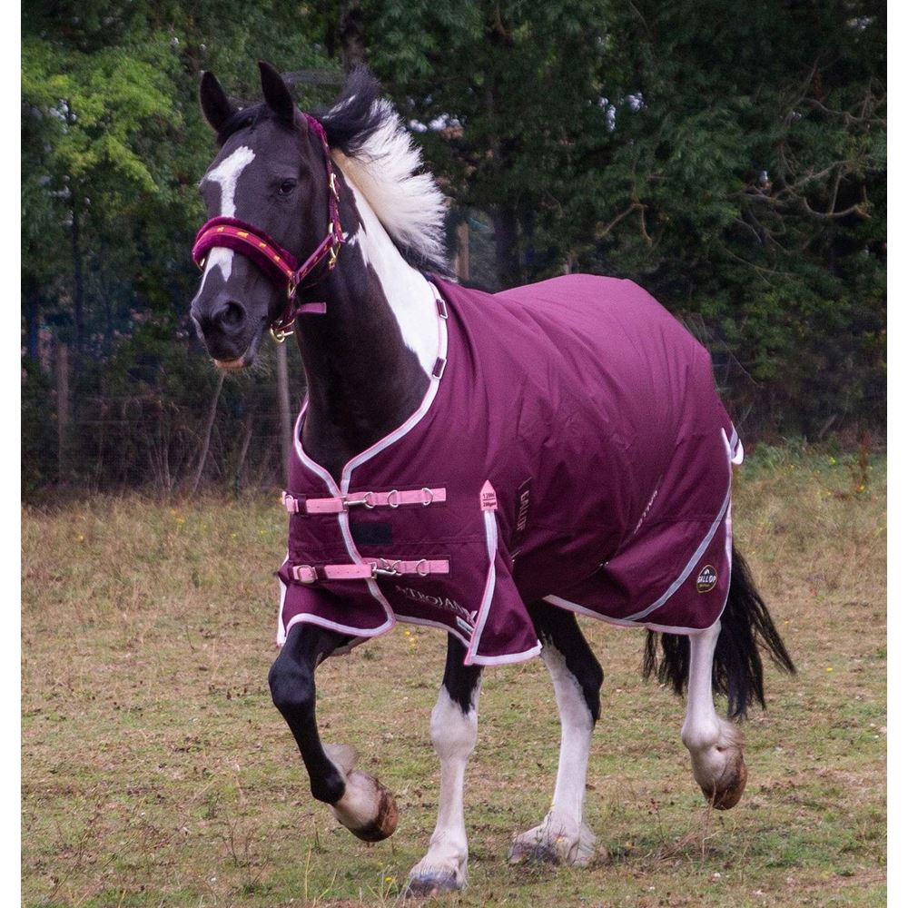 Gallop TROJAN Xtra Duraproof 200g 5-Point Standard Neck Turnout (Burgundy with Pink/White bindings)