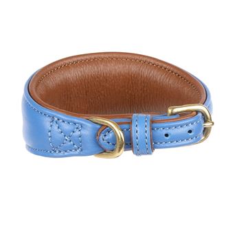 Shires Digby & Fox Padded Leather Greyhound Collar - S, XS (Royal)