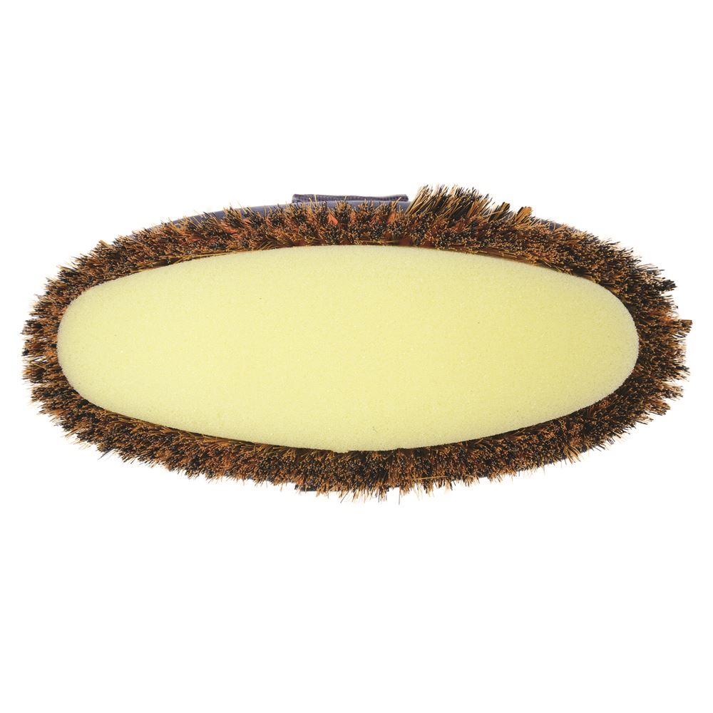 Hy Equestrian Pro Groom Sponge Brush (Purple/Pink)