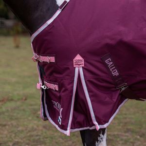 Gallop TROJAN Xtra Duraproof 200g 5-Point Standard Neck Turnout (Burgundy with Pink/White bindings)