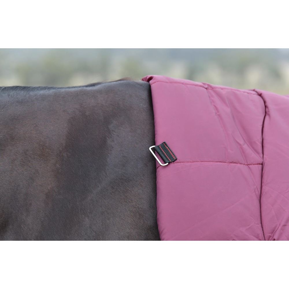 Weatherbeeta Comfitec Essential Turnout Combo - 220g (Burgundy/Navy)