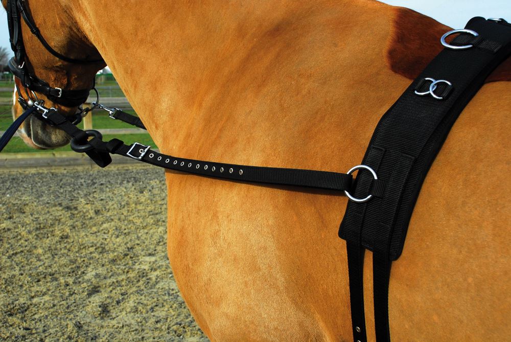 Rhinegold Training/Breaking Set