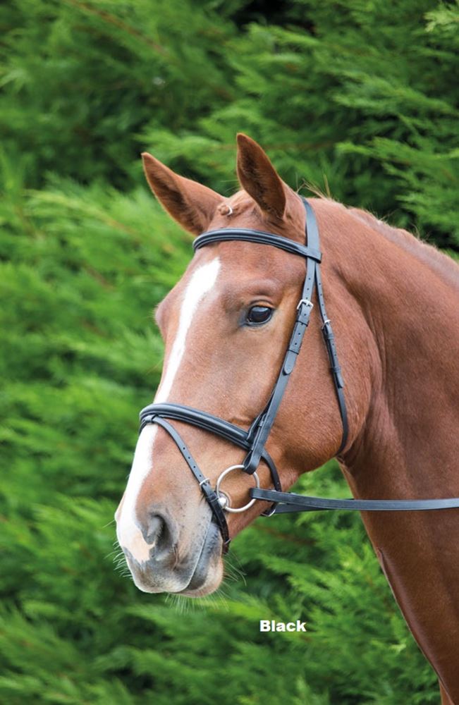 Shires Aviemore Raised Flash Bridle