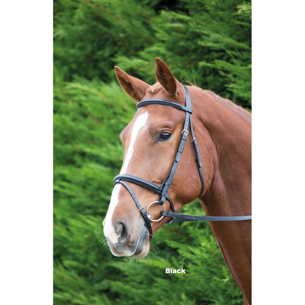 Shires Aviemore Raised Flash Bridle