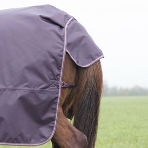 Shires Typhoon 100 Turnout Rug (Black Cherry)