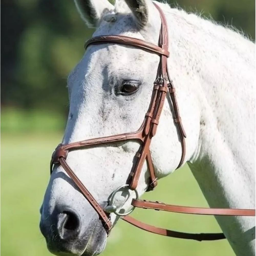 Shires Avignon Grackle Noseband (Oak)