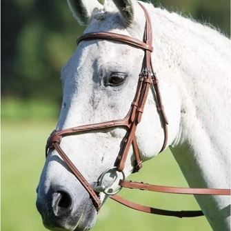Shires Avignon Grackle Noseband (Oak)