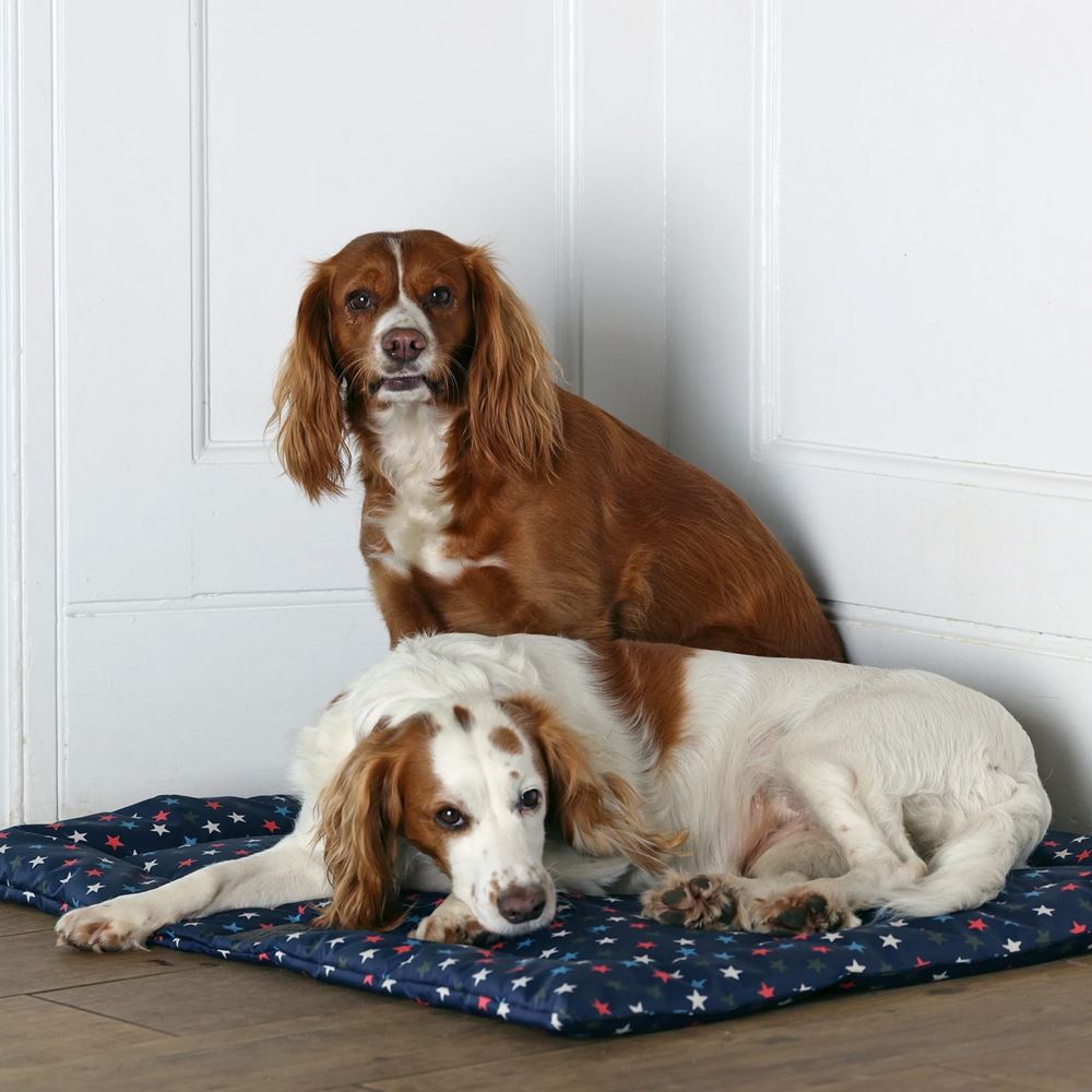 Shires Digby & Fox Waterproof Padded Dog Bed (95 x 105cm)