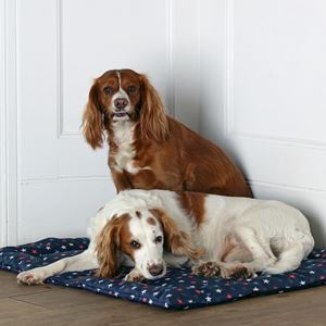 Shires Digby & Fox Waterproof Padded Dog Bed (95 x 105cm)