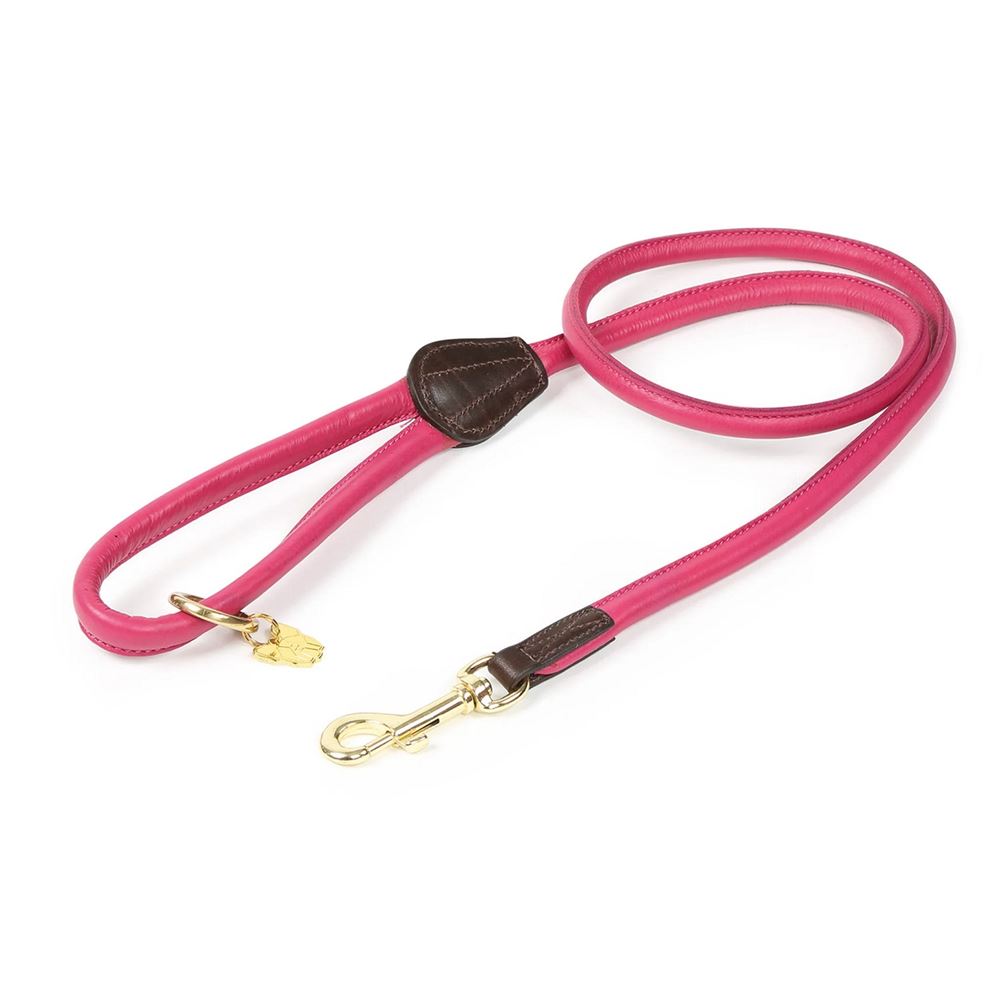 Shires Digby & Fox Rolled Leather Dog Lead (Pink)