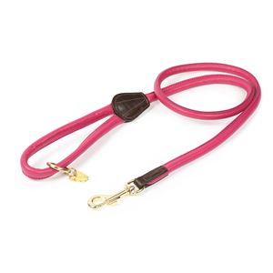 Shires Digby & Fox Rolled Leather Dog Lead (Pink)