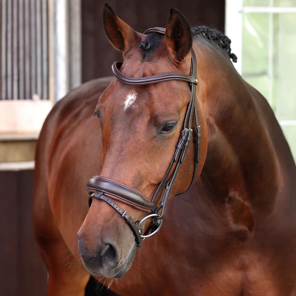 Shires Velociti LUSSO Elite Dressage Flash Bridle (Havana)