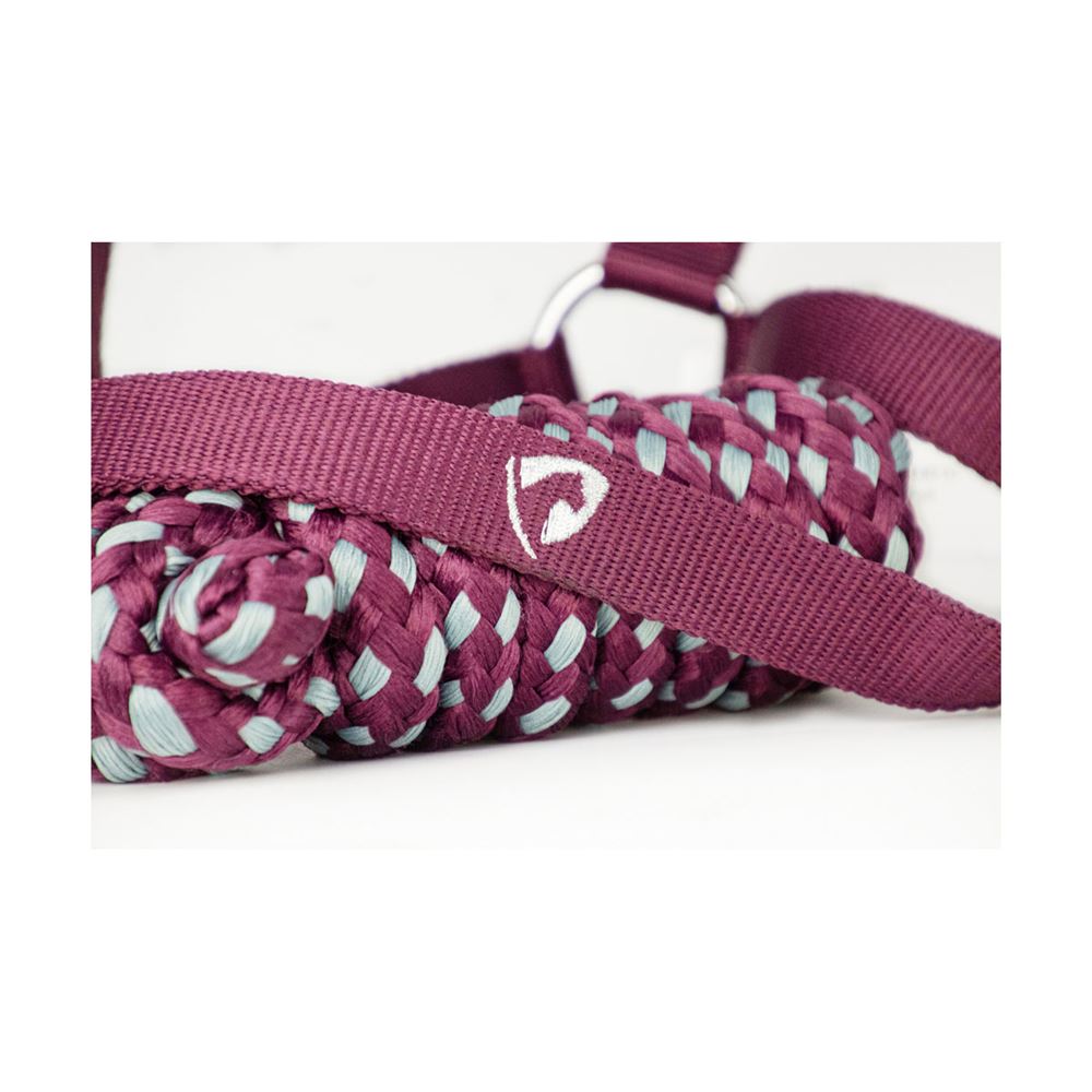 Hy Equestrian Synergy Head Collar (Fig/Silver)