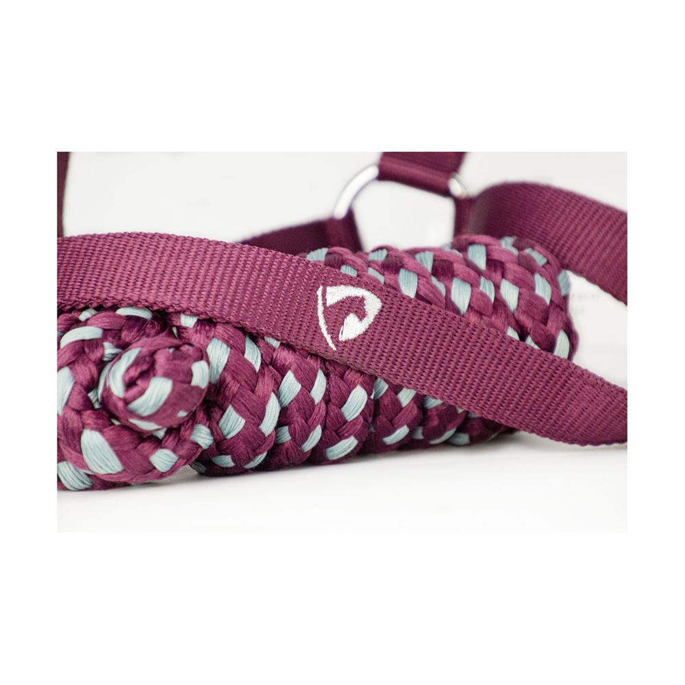 Hy Equestrian Synergy Head Collar (Fig/Silver)