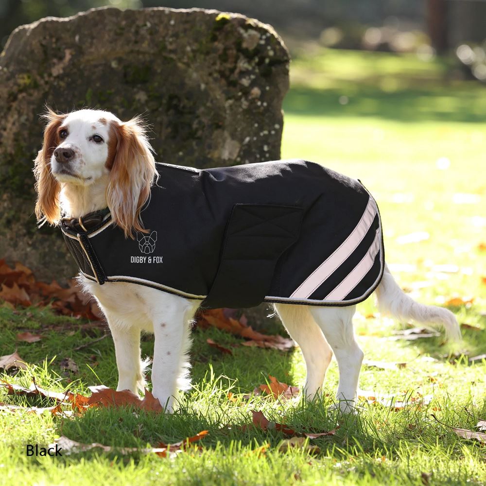 Shires Digby & Fox Waterproof Dog Coat (XXXXS - S)