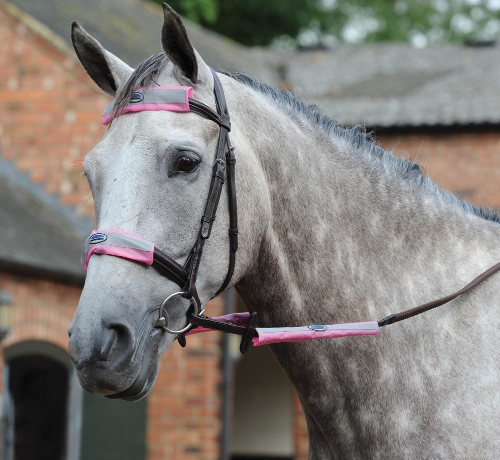 Weatherbeeta 4 Piece Reflective Bridle Kit