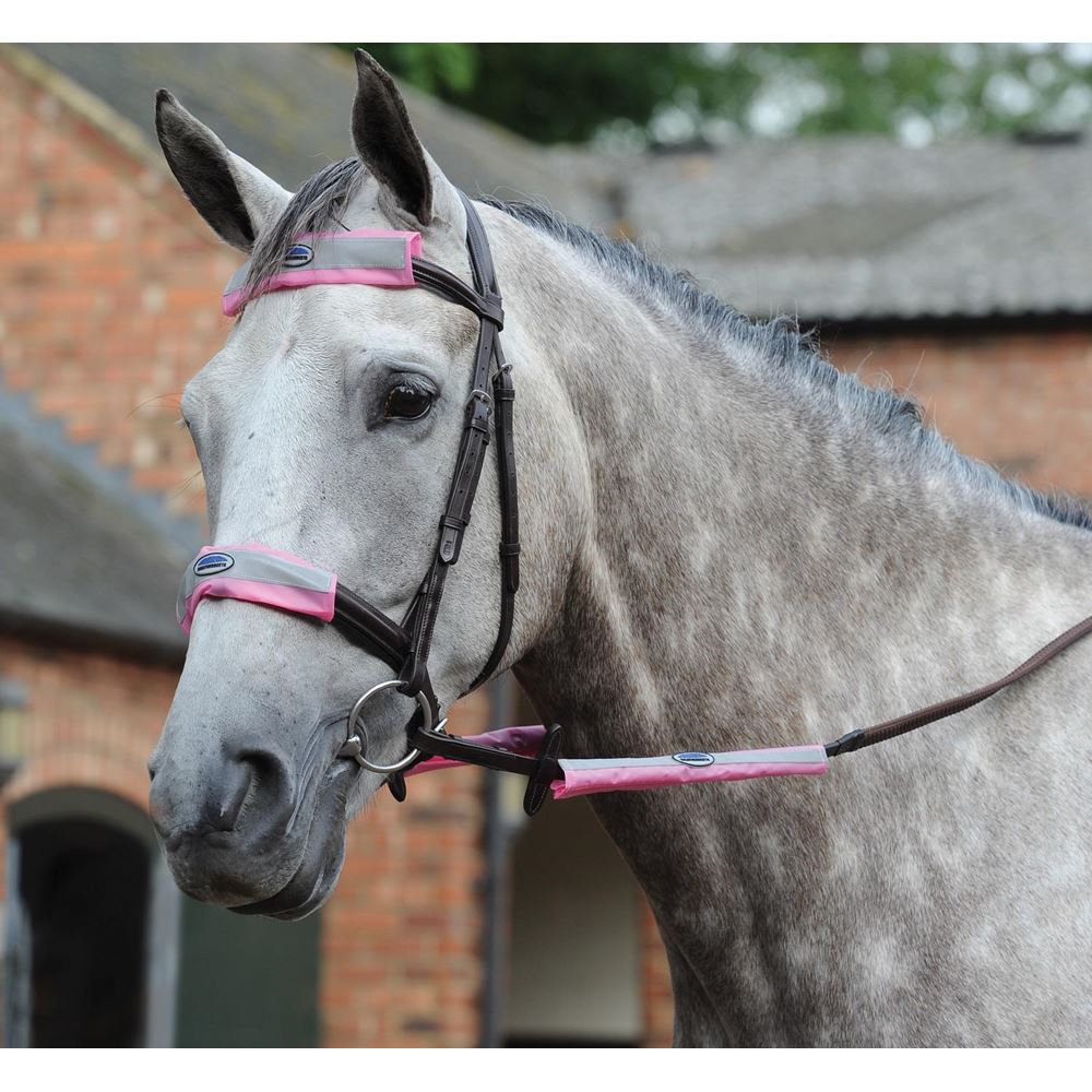Weatherbeeta 4 Piece Reflective Bridle Kit