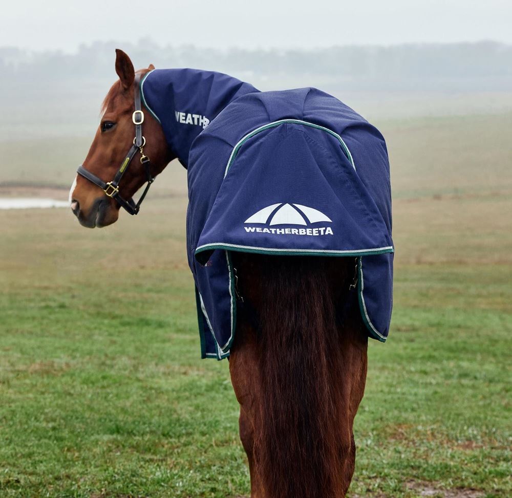 Weatherbeeta Comfitec Plus Dynamic Turnout Detach-A-Neck - 100g (Navy/Forest Green)