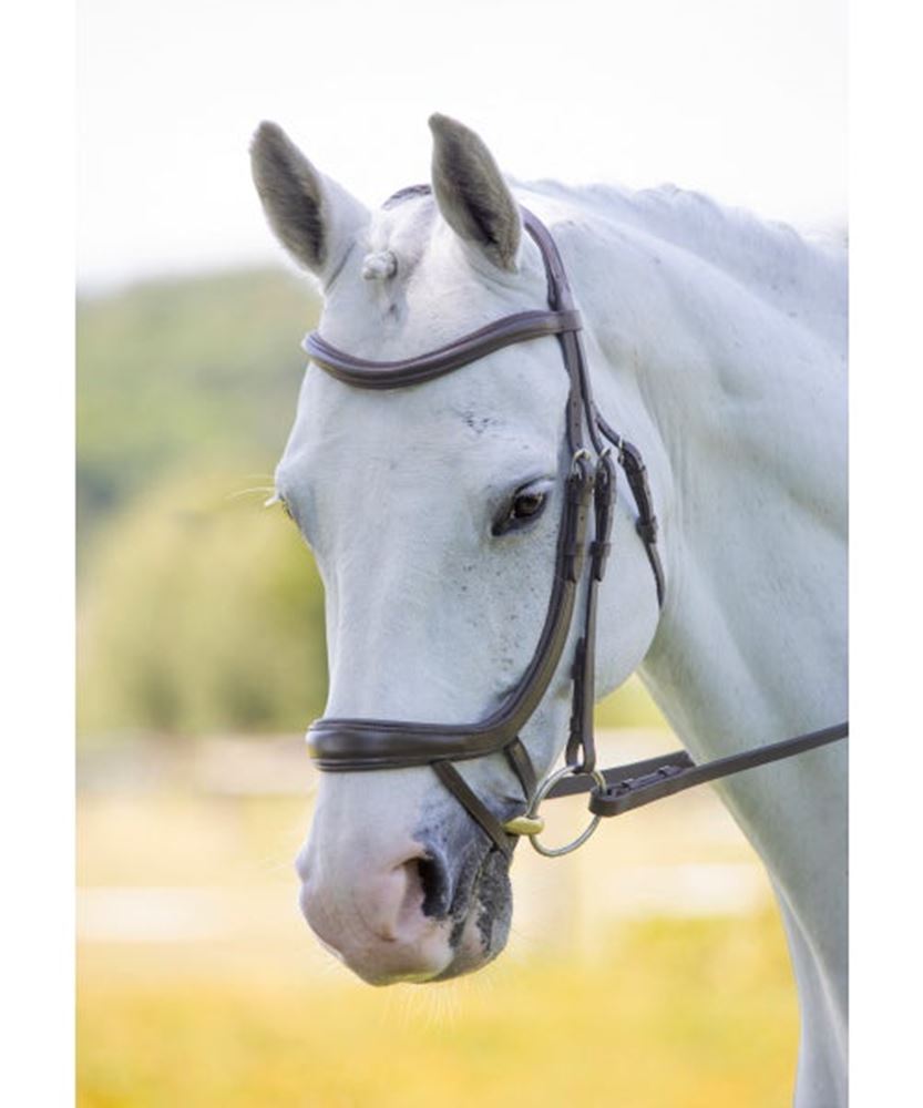 Shires Velociti Ergonomic Curved Flash Bridle