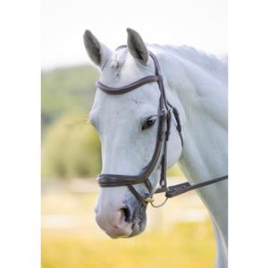 Shires Velociti Ergonomic Curved Flash Bridle