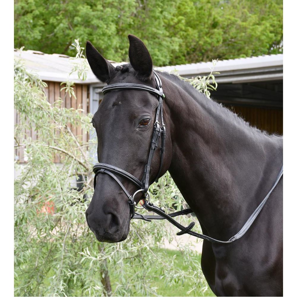 Rhinegold Elegance German Leather Bridle With Flash Noseband