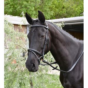 Rhinegold Elegance German Leather Bridle With Flash Noseband
