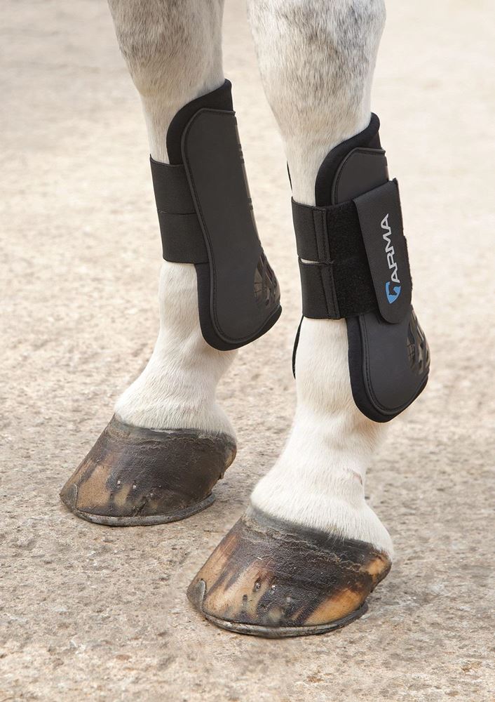 Shires ARMA Tendon Boots - Cob