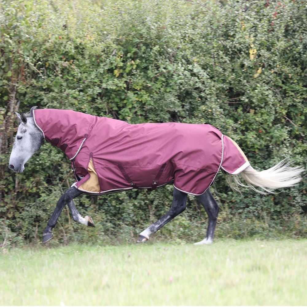 Shires Highlander Plus 100 Combo Turnout Rug (Maroon)