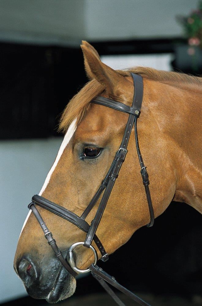 JHL Pro Flash Bridle with Reins