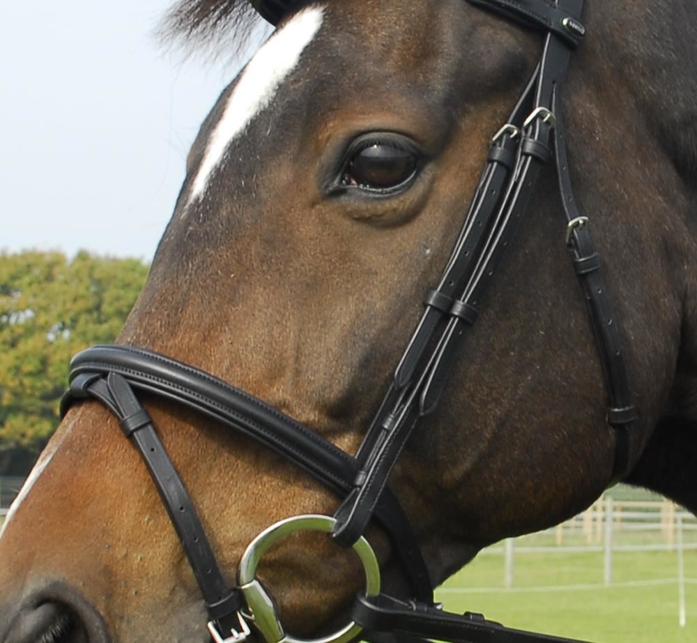 Heritage Saddlery English Leather Bridle with Flash Noseband