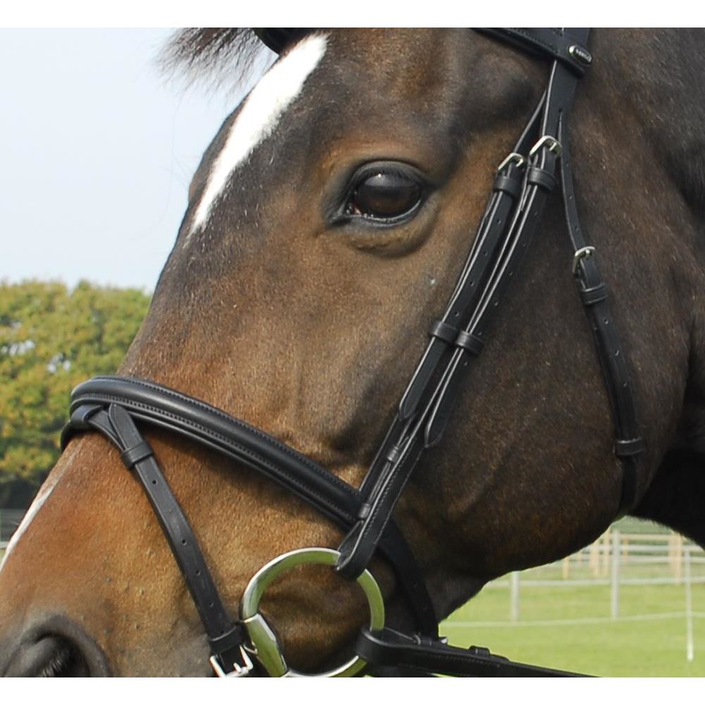 Heritage Saddlery English Leather Bridle with Flash Noseband