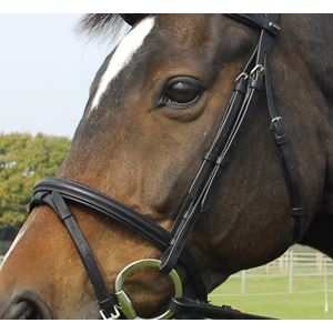 Heritage Saddlery English Leather Bridle with Flash Noseband
