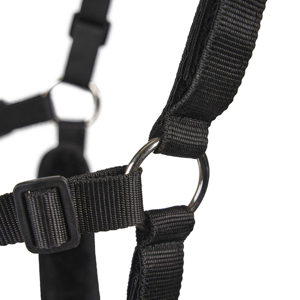 Shires FreeGraze AirFlow Grazing Muzzle