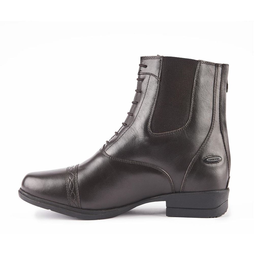Shires Moretta Anita Paddock Boots (Brown)