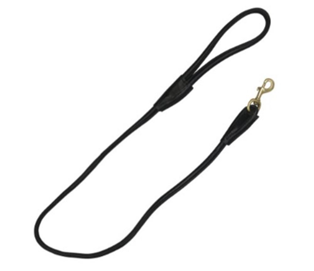 Benji & Flo Superior Rolled Leather Dog Lead (Black/Brass)