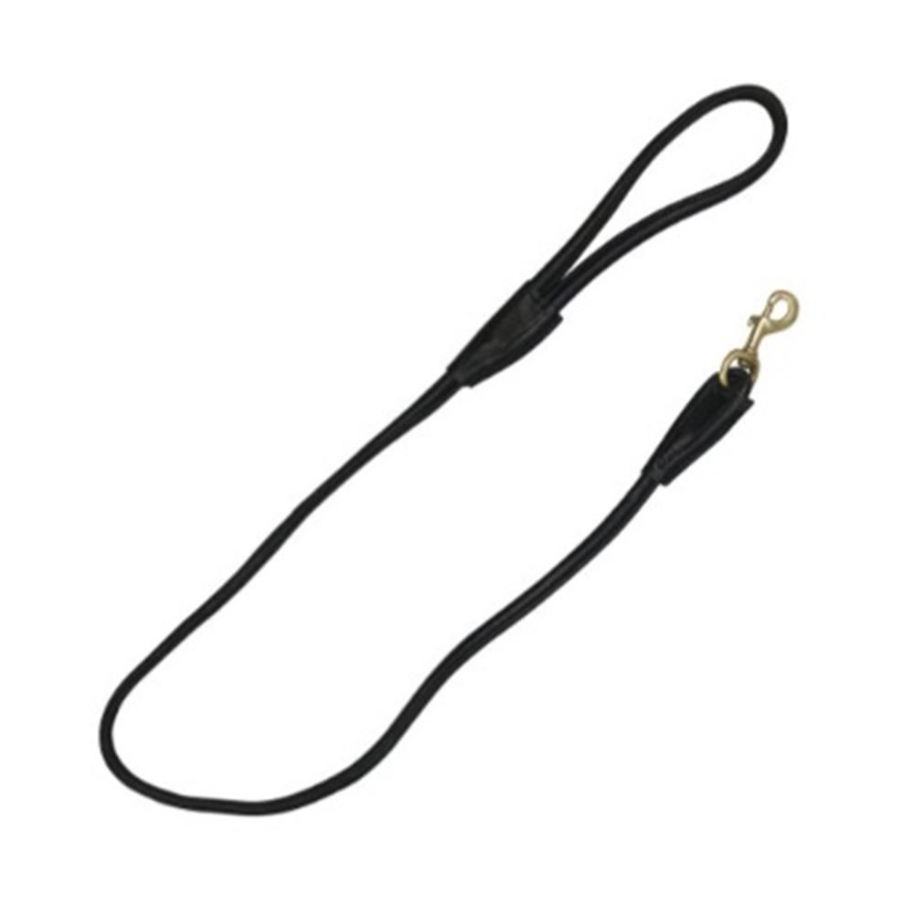 Benji & Flo Superior Rolled Leather Dog Lead (Black/Brass)