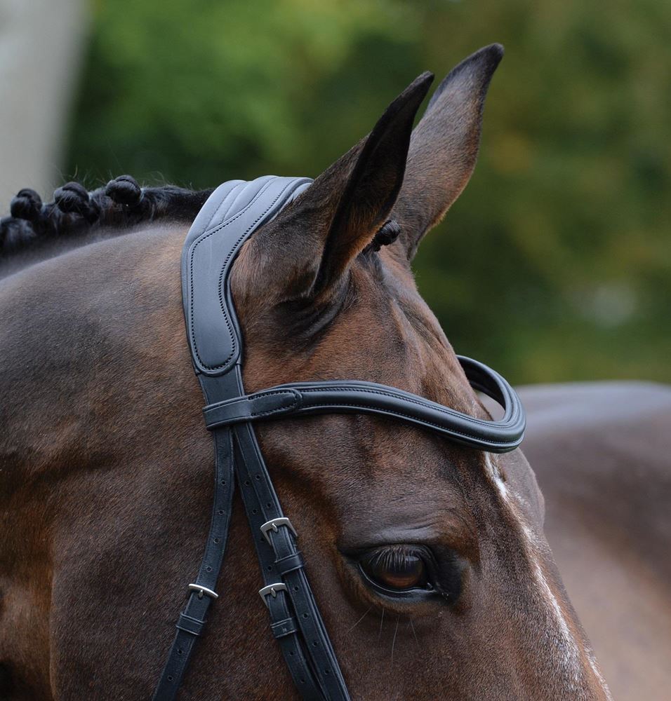 Collegiate Comfitec Vogue Anatomical Bridle