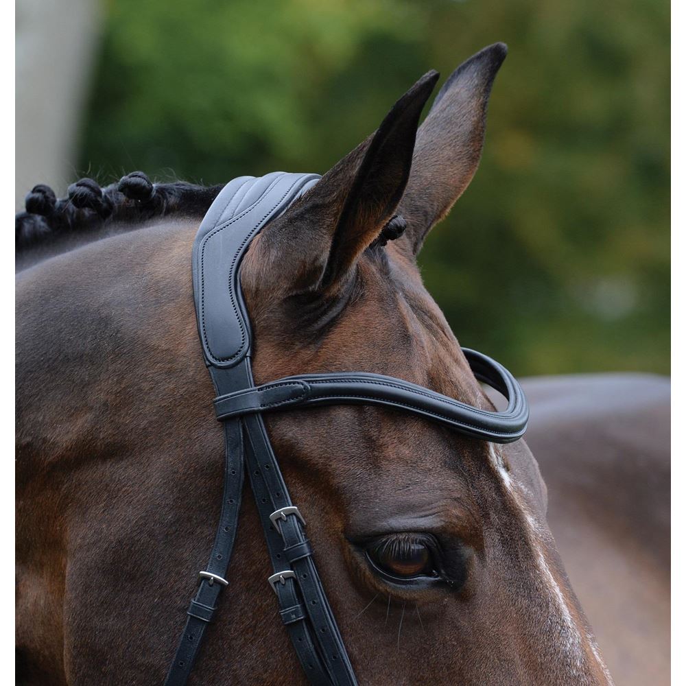 Collegiate Comfitec Vogue Anatomical Bridle