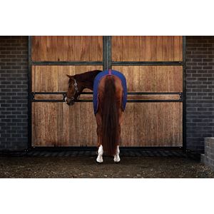 Weatherbeeta Cotton Sheet Standard Neck (Navy/Burgundy)