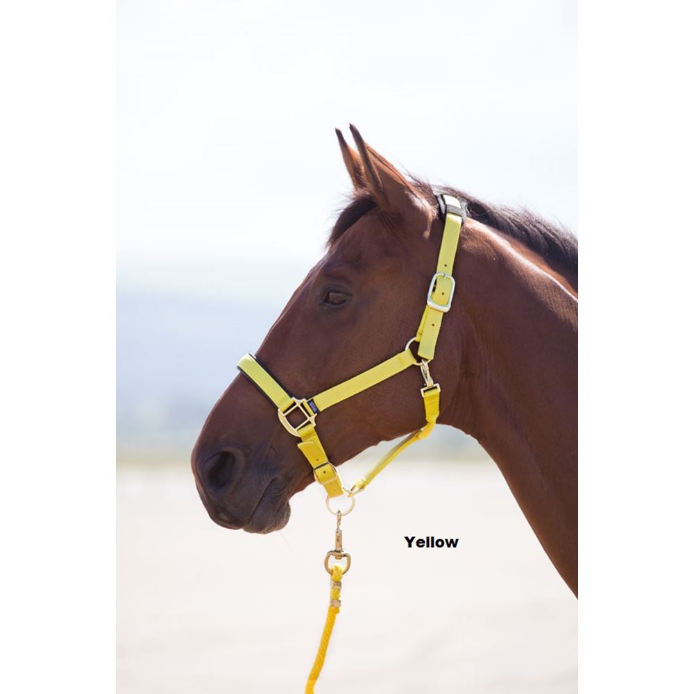 Shires Topaz Nylon Headcollar
