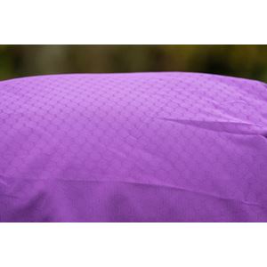 DefenceX Shield 0g Turnout Rug with Detachable Neck